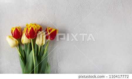 tulips for Mother's Day 110417772