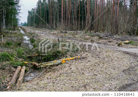 Construction of a new road and new powerline through the forest by cutting down trees, logging Construction of a new road and new powerline through the forest by cutting down trees, logging 110418641