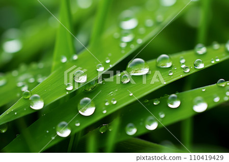 Closeup of water droplets on a green grass. Generative AI 110419429