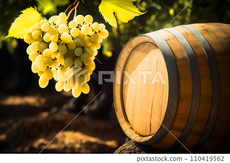 Wine Grape on oak barrels. 110419562