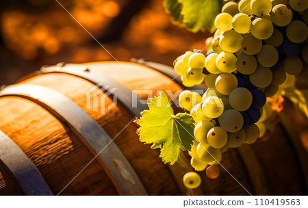 Wine Grape on oak barrels. Wine Grape on oak barrels. 110419563