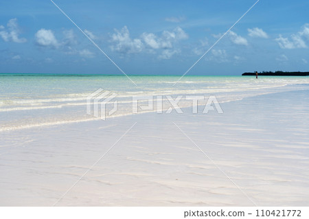 Spanish Wells Sandbar Bahamas Islands Spanish Wells Sandbar Bahamas Islands 110421772