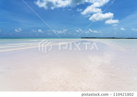 Pink Beach of Spanish Wells, Bahamas Islands 110421802