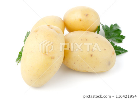 New potatoes and green parsley New potatoes and green parsley 110421954