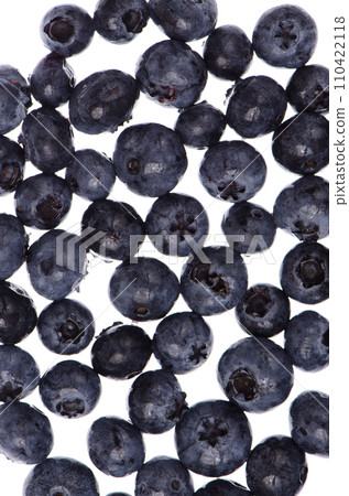 Blueberry Blueberry 110422118