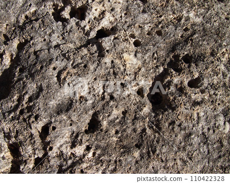 Coral Rock with wholes 110422328