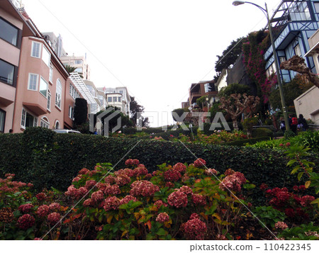 Flowers in bloom in the Gardens of Lombard street Flowers in bloom in the Gardens of Lombard street 110422345