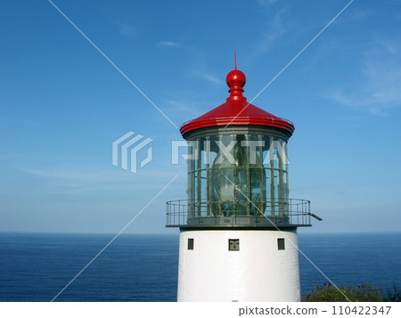 Makapu'u Lighthouse 110422347