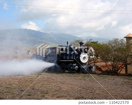 Sugar Cane Steam Train lets off steam Sugar Cane Steam Train lets off steam 110422570
