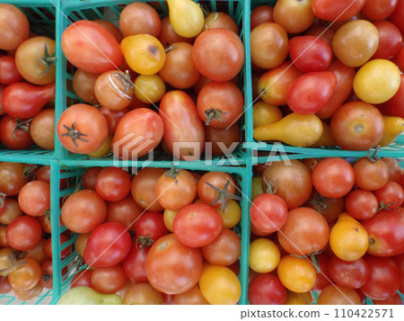 Tomatoes in Square Plastic blue baskets Tomatoes in Square Plastic blue baskets 110422571