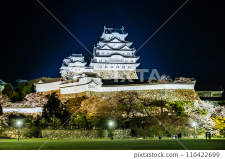 Himeji Castle Sakura night view 110422699