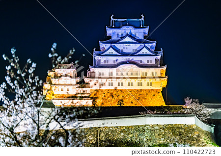 姬路城櫻花夜景 110422723