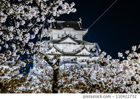 Himeji Castle Sakura night view 110422732