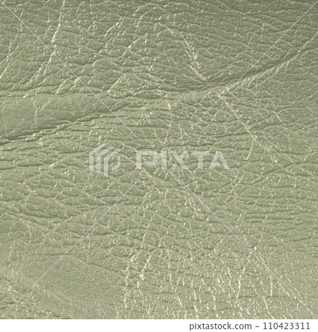 Green leather 110423311