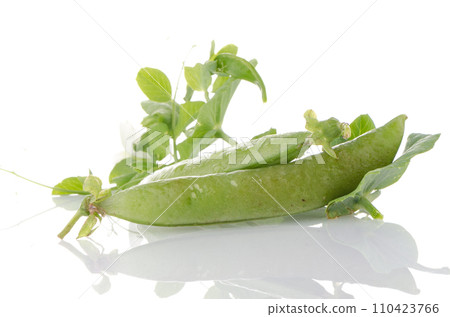 Fresh green pea pod Fresh green pea pod 110423766