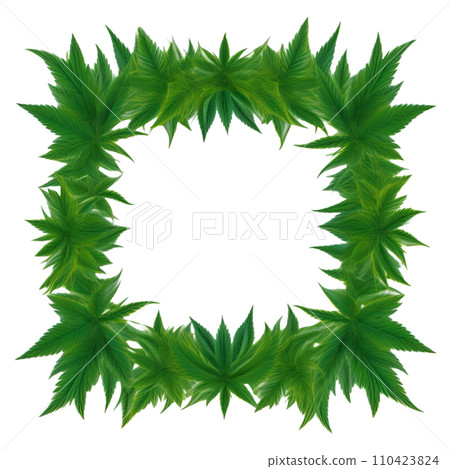 Grass leaf frame icon illustration 110423824