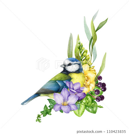 Garden flowers decor with blue tit bird. Watercolor illustration. Painted backyard bird with garden flowers, freesia, leaves decoration element. Floral decor with chickadee. White background Garden flowers decor with blue tit bird. Watercolor illustration. Painted backyard bird with garden flowers, freesia, leaves decoration element. Floral decor with chickadee. White background 110423835