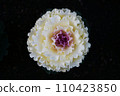 Leaf button 110423850