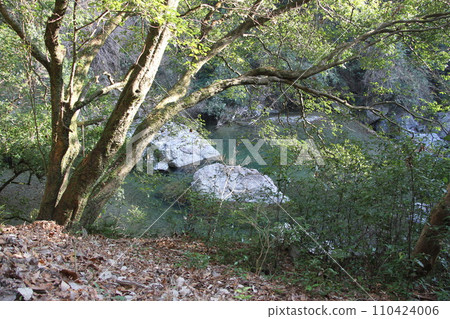 冬季陽光充足的大阪高槻攝津峽風景 冬季陽光充足的大阪高槻攝津峽風景 110424006