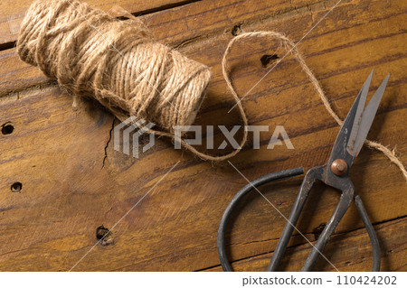 Old-fashioned scissors 110424202