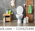 Cleaning the toilet 110425446