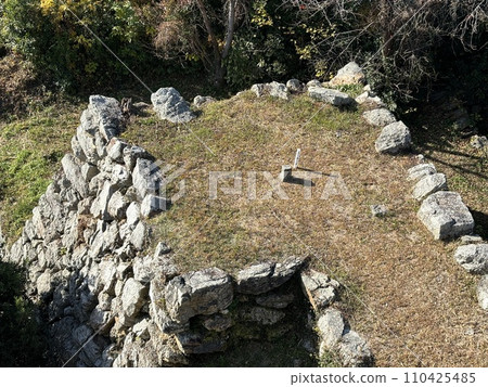 擁有300年德川歷史的濱松城 110425485