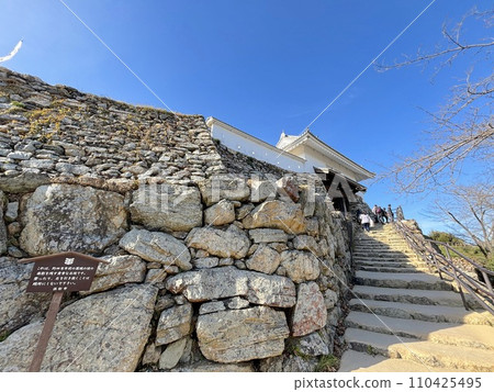 擁有300年德川歷史的濱松城 110425495