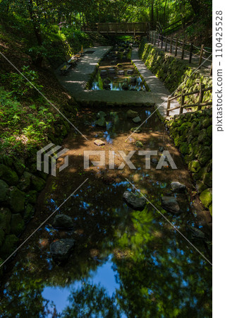 靜岡縣清水町、富士山泉水、柿田川公園(柿田泉泉水集團) 靜岡縣清水町、富士山泉水、柿田川公園(柿田泉泉水集團) 110425528
