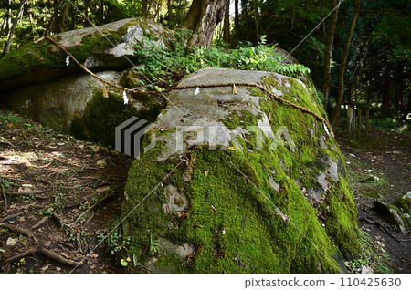 花卷市的名勝-壇內山神社 花卷市的名勝-壇內山神社 110425630