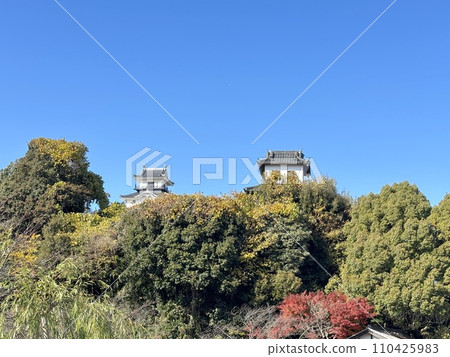 靜岡縣掛川市的掛川城 靜岡縣掛川市的掛川城 110425983