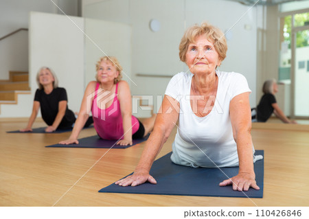 Senior lady with group of aged women doing Upward Facing Dog yoga pose 110426846