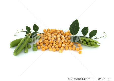 Yellow peas whole and fresh green peas and pea pods 110428048