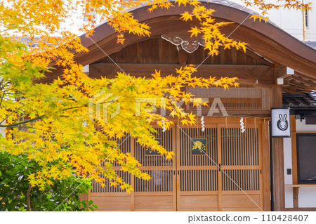 Kyoto Okazaki Shrine Autumn leaves and shrine office 110428407