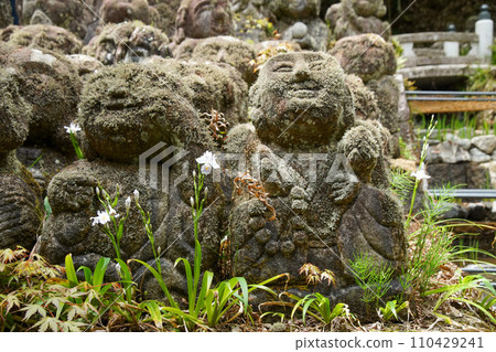 愛宕念佛寺的石佛和沙迦 110429241