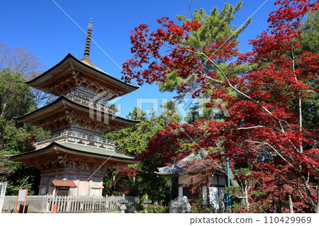 Oaza Gosho, Yoshimi-machi, Hiki-gun, Saitama Prefecture; Autumn leaves in the precincts of Iwadonoyama Anrakuji Yoshimi Kannon and the three-storied pagoda, a prefecturally designated cultural property. 110429969