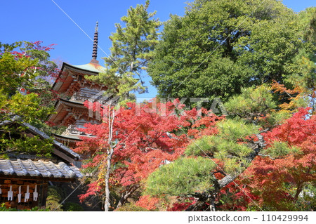 埼玉縣比企郡吉見町大字禦所;岩堂山安樂寺吉見觀音和縣指定文化財產三層塔境內的秋葉。 埼玉縣比企郡吉見町大字禦所;岩堂山安樂寺吉見觀音和縣指定文化財產三層塔境內的秋葉。 110429994