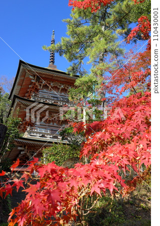 埼玉縣比企郡吉見町大字禦所；岩堂山安樂寺吉見觀音和縣指定文化財產三層塔境內的秋葉。 110430001