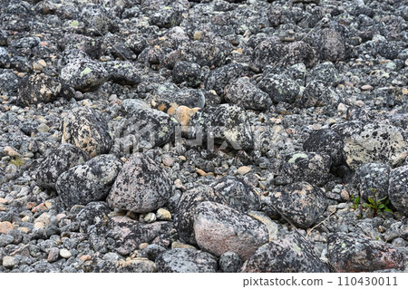 Granite stones formed 3-2.5 billion years ago on the shores of the Barents Sea, Russia Granite stones formed 3-2.5 billion years ago on the shores of the Barents Sea, Russia 110430011