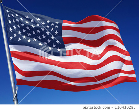 Flag of the United States of America 110430283