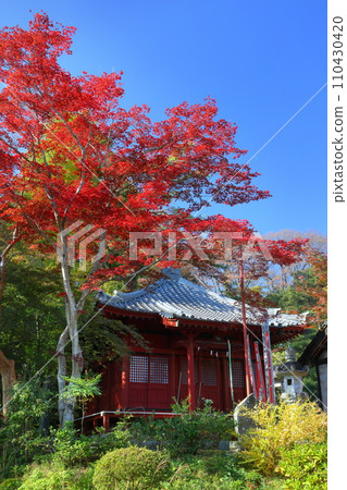 Yakushido Hall and autumn leaves in the precincts of Iwadonosan Anrakuji Yoshimi Kannon, Oaza Gosho, Yoshimi-machi, Hiki-gun, Saitama Prefecture 110430420