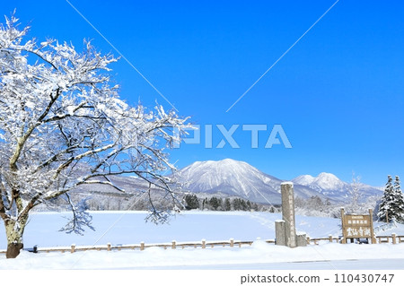 冬天的雷泉寺湖 110430747