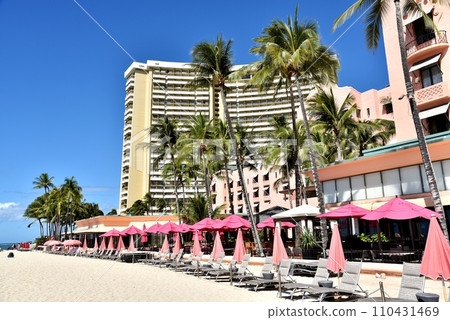 夏威夷的假期 夏威夷的假期 110431469