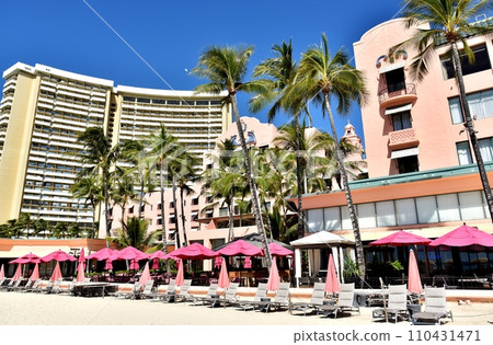 夏威夷的假期 110431471