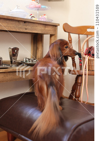 德國卡寧興達克斯 110431589