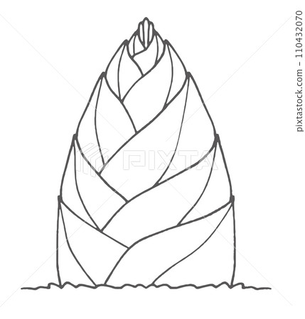 簡單的竹筍 簡單的竹筍 110432070