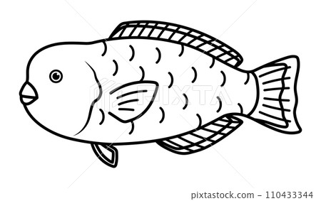 突額鸚嘴魚 突額鸚嘴魚 110433344
