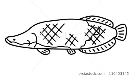 Pirarucu Pirarucu 110433345