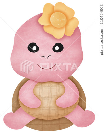 Turtle Turtle 110434008