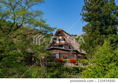 世界遺產白川鄉Goseisaku村 110434880