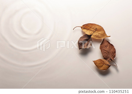 Ripples, waves, water, fallen leaves Ripples, waves, water, fallen leaves 110435251